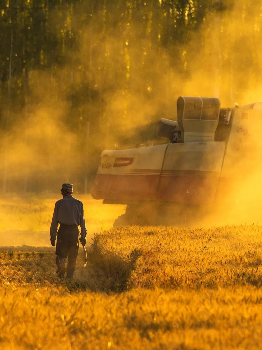 富硒面粉是指什么（富硒面粉与普通面粉）-硒宝网