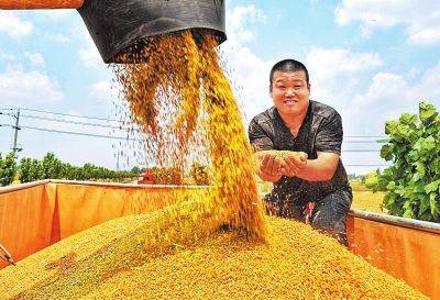 富硒面粉是指什么（富硒面粉与普通面粉）-硒宝网