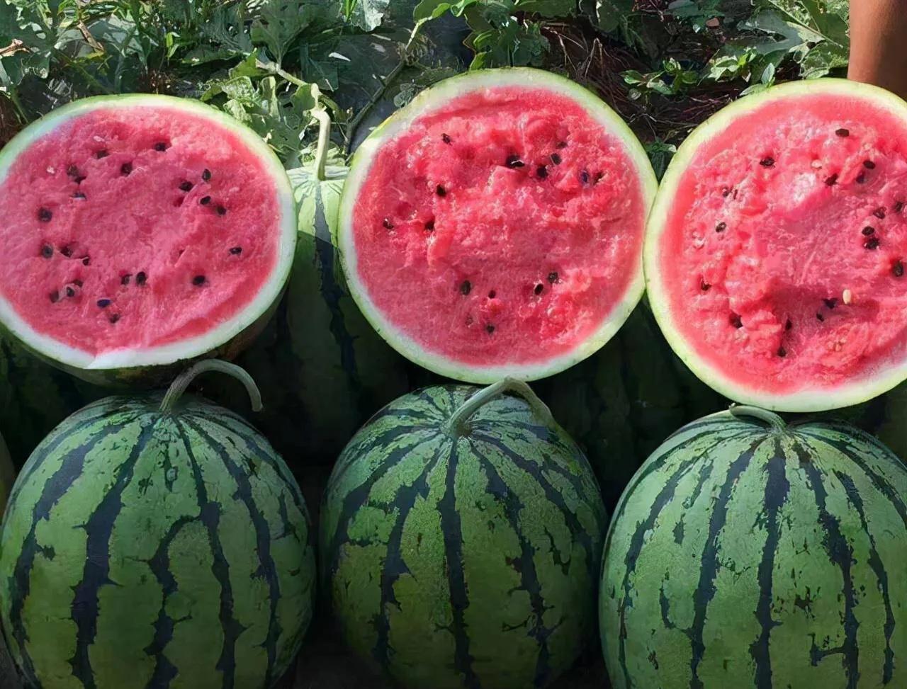 中卫富硒面粉标准(富硒面粉和普通面粉有什么区别)-硒宝网