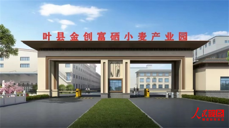 全国哪产富硒面粉(富硒面粉产地)-硒宝网