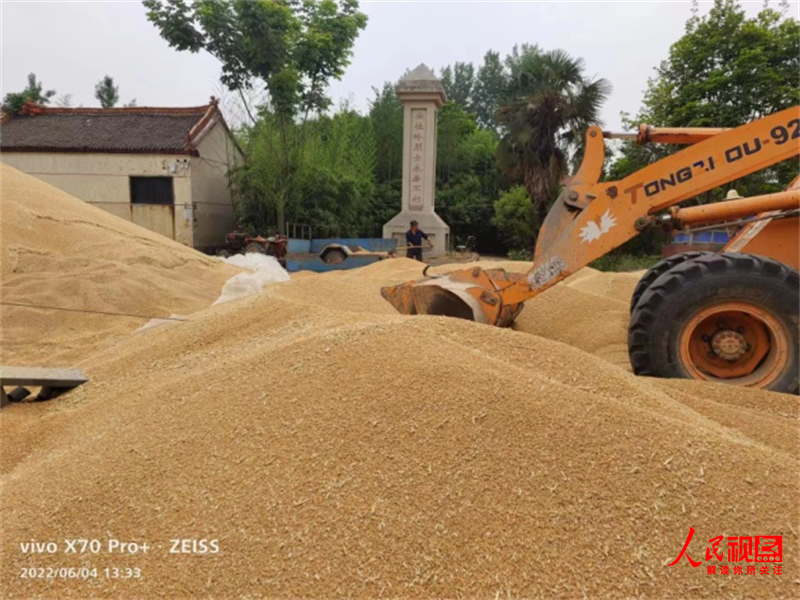 全国哪产富硒面粉(富硒面粉产地)-硒宝网