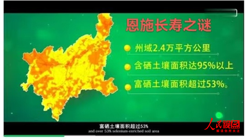 全国哪产富硒面粉(富硒面粉产地)-硒宝网