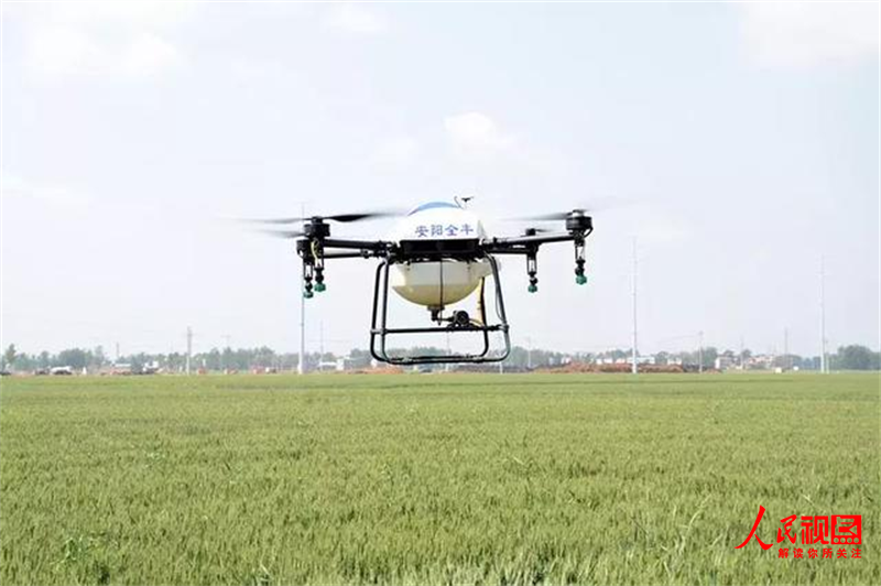 全国哪产富硒面粉(富硒面粉产地)-硒宝网