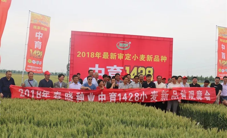 富硒面粉有味儿吗(富硒面粉对人体有什么好处)-硒宝网