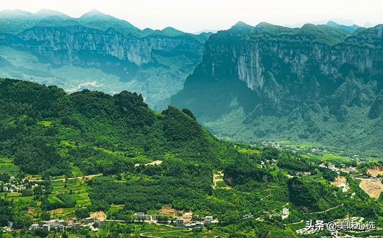 富硒山药面粉做法(山药面粉的功效)-硒宝网