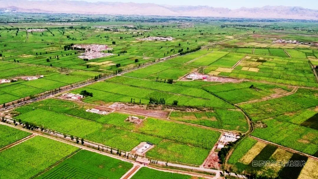 临河富硒面粉厂家(富硒面粉产地)-硒宝网