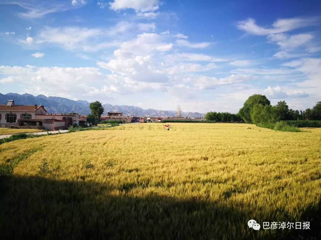 临河富硒面粉厂家(富硒面粉产地)-硒宝网