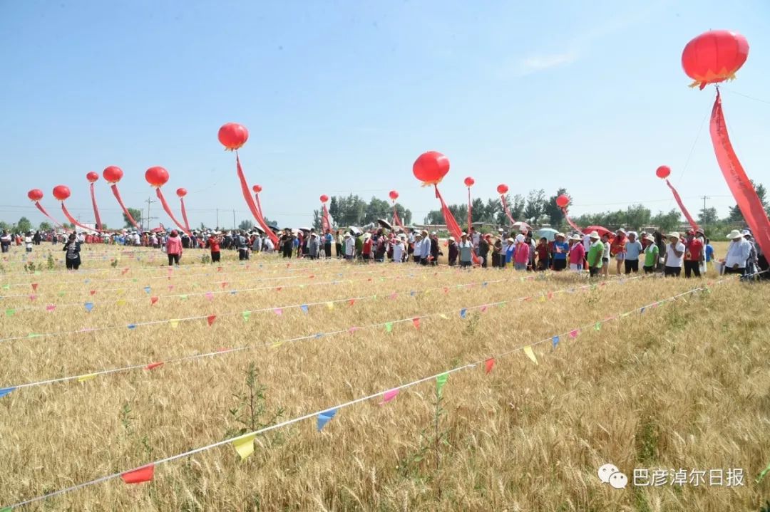 临河富硒面粉厂家(富硒面粉产地)-硒宝网