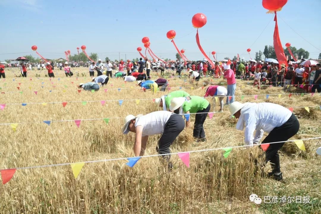 临河富硒面粉厂家(富硒面粉产地)-硒宝网