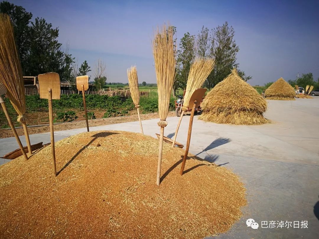 临河富硒面粉厂家(富硒面粉产地)-硒宝网