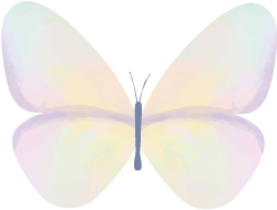 临河富硒面粉厂家(富硒面粉产地)-硒宝网