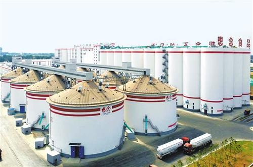 富硒面粉能做什么（面粉能富硒做面包吗）-硒宝网