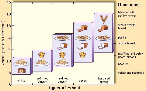 富硒面粉是高筋吗(富硒面粉硒含量标准)-硒宝网