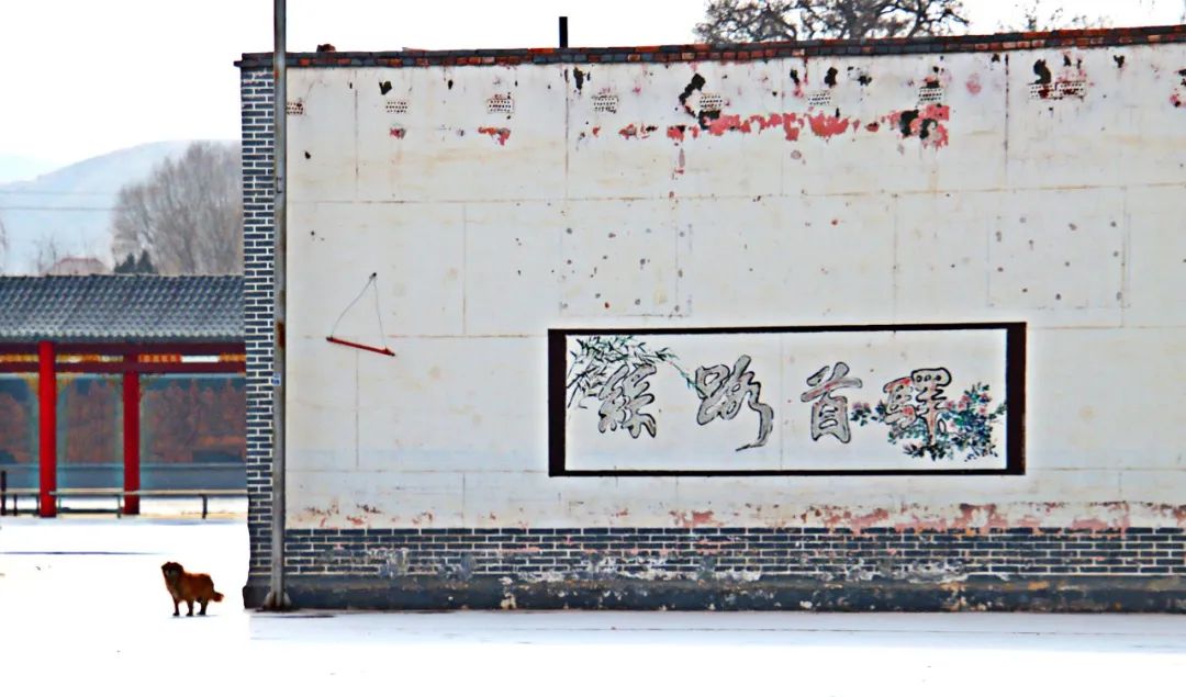 建边古驿富硒面粉（富硒面粉是骗局吗）-硒宝网