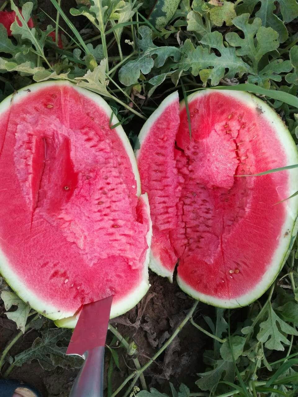 建富硒面粉厂骗局（富硒面粉产地）-硒宝网