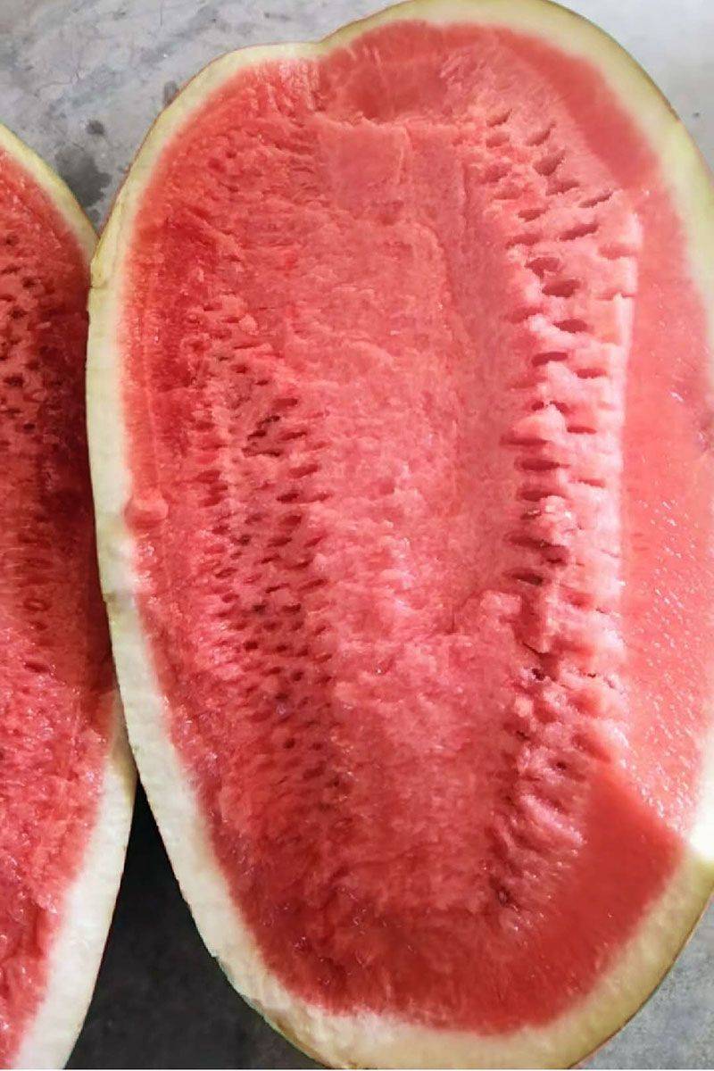 建富硒面粉厂骗局（富硒面粉产地）-硒宝网