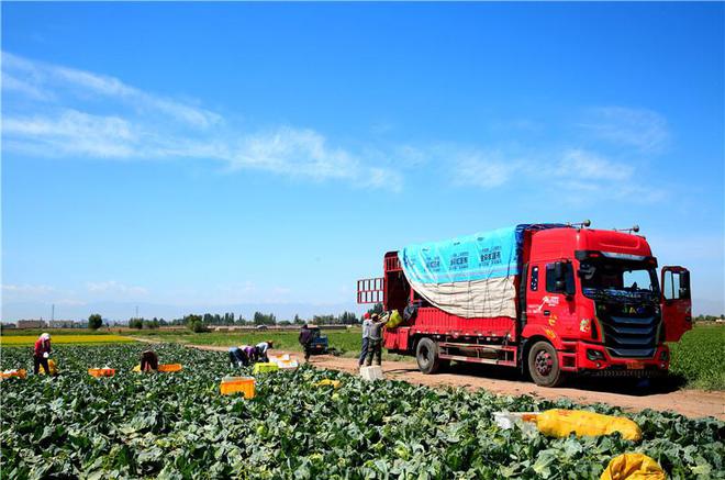 富硒蔬菜市场趋势(中国富硒蔬菜杂交)-硒宝网