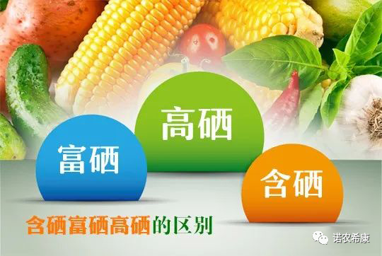 富硒蔬菜中硒含量（蔬菜含硒最多）-硒宝网