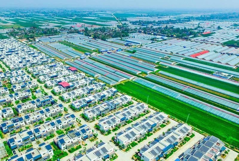 赣州富硒大棚蔬菜(万亩富硒蔬菜基地)-硒宝网