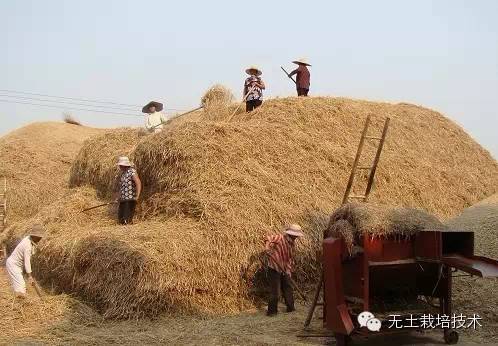 富硒绿色有机蔬菜（富硒绿色食品）-硒宝网