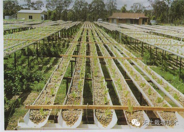 富硒绿色有机蔬菜（富硒绿色食品）-硒宝网