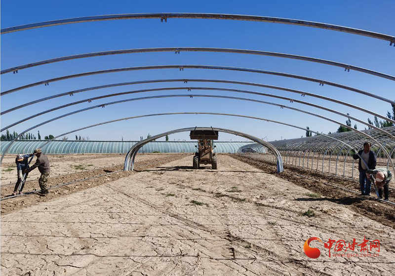 富硒蔬菜项目背景(富硒蔬菜价格比普通蔬菜)-硒宝网