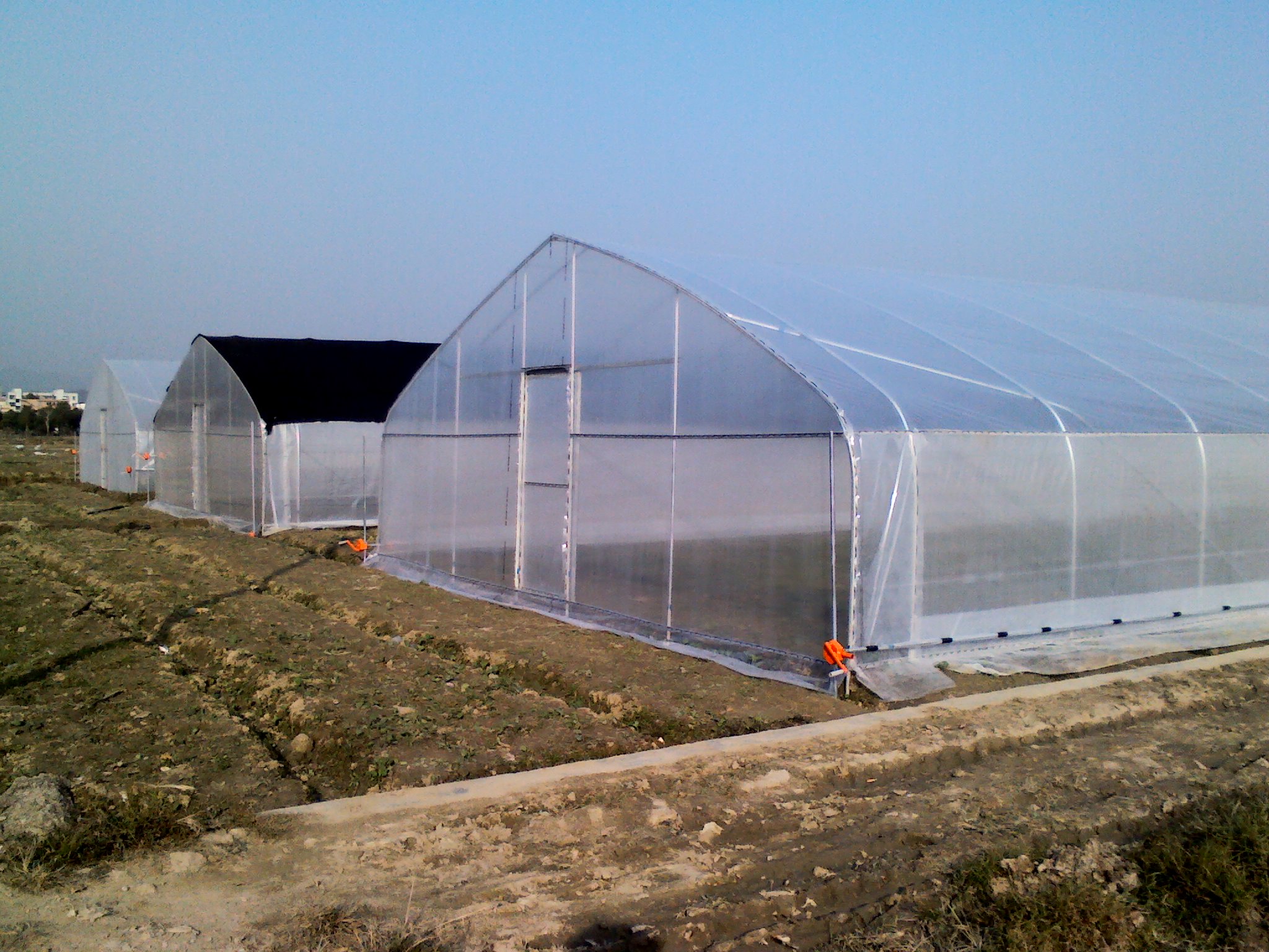 富硒蔬菜项目背景(富硒蔬菜价格比普通蔬菜)-硒宝网