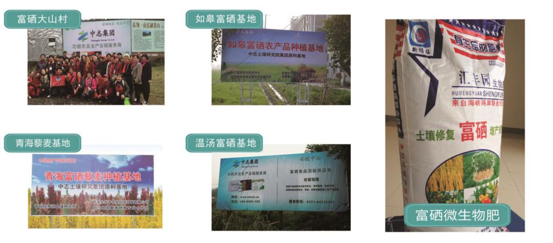 富硒蔬菜市场前景（富硒蔬菜产业园）-硒宝网