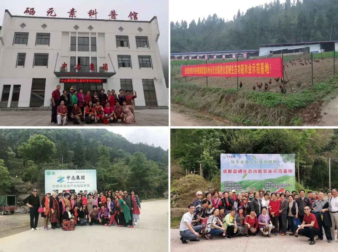 富硒蔬菜市场前景（富硒蔬菜产业园）-硒宝网