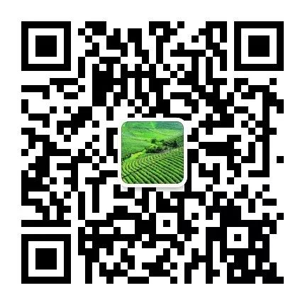 富硒蔬菜市场前景（富硒蔬菜产业园）-硒宝网