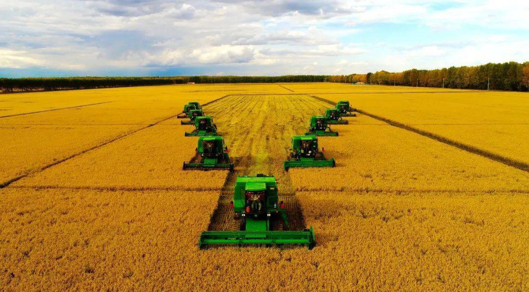 青海的富硒 蔬菜(青海蔬菜富硒有哪些)-硒宝网