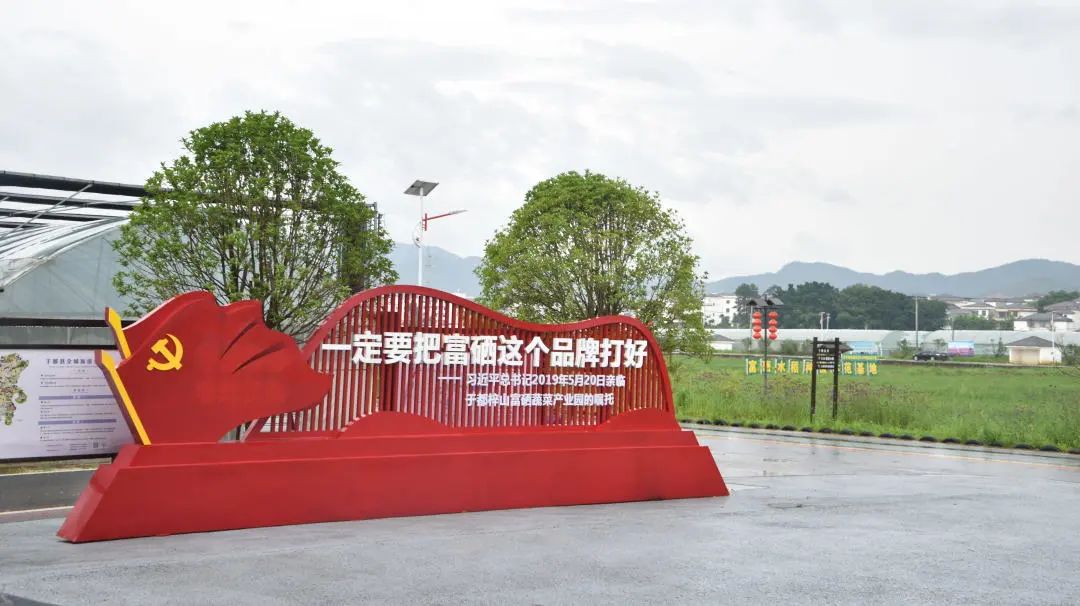 富硒蔬菜讲座视频（蔬菜富硒标准是多少）-硒宝网