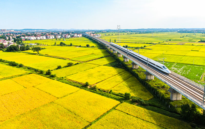 富硒产业江西蔬菜(江西富硒产业园)-硒宝网