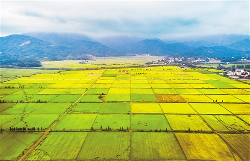 富硒产业江西蔬菜(江西富硒产业园)-硒宝网