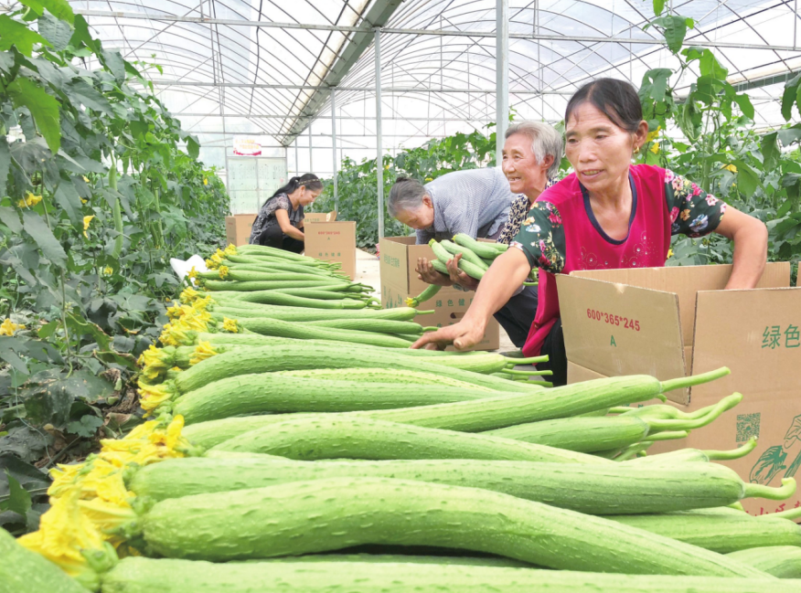 富硒瓜果蔬菜标准（蔬菜瓜果标准富硒含量）-硒宝网