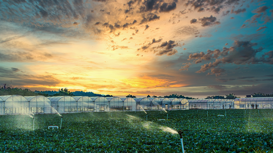 富硒瓜果蔬菜标准（蔬菜瓜果标准富硒含量）-硒宝网