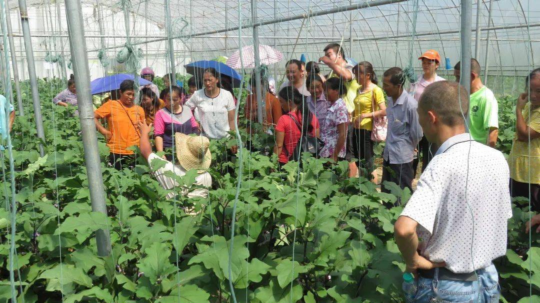 赣州富硒蔬菜报道（于都富硒蔬菜）-硒宝网