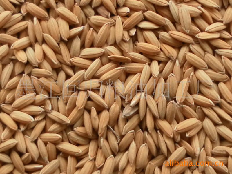 富硒蔬菜怎么生产(蔬菜生产富硒的原因)-硒宝网