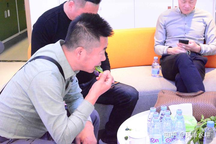 富硒蔬菜项目总结（蔬菜怎么富硒）-硒宝网