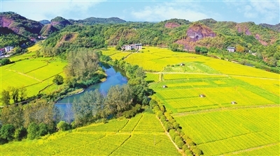 宁都富硒蔬菜南昌(江西于都富硒蔬菜基地)-硒宝网