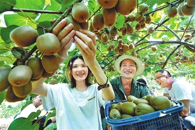 宁都富硒蔬菜南昌(江西于都富硒蔬菜基地)-硒宝网
