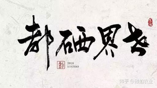 蔬菜富硒含量标准(蔬菜含量标准富硒是什么)-硒宝网