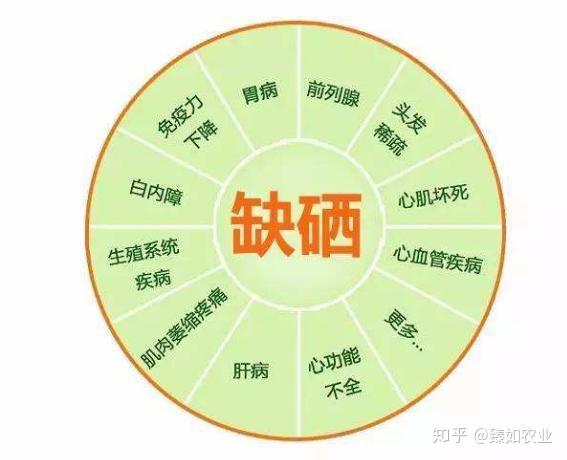 蔬菜富硒含量标准(蔬菜含量标准富硒是什么)-硒宝网