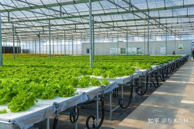 富硒蔬菜宣传细节（蔬菜宣传软文）-硒宝网