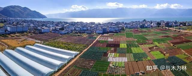 富硒蔬菜宣传细节（蔬菜宣传软文）-硒宝网