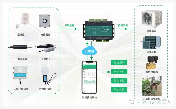 富硒蔬菜大棚基地(大棚蔬菜基地发展前景)-硒宝网