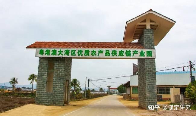 视察富硒蔬菜产业（富硒农产品市场分析）-硒宝网