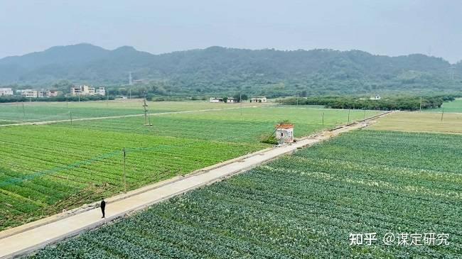 视察富硒蔬菜产业（富硒农产品市场分析）-硒宝网