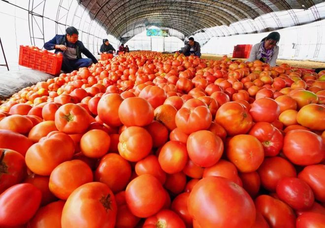 富硒蔬菜营销模式（蔬菜营销富硒模式分析）-硒宝网