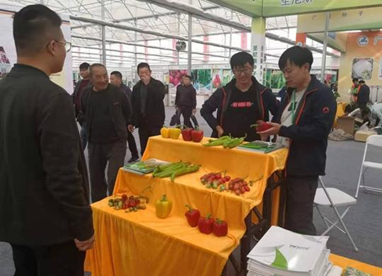 富硒蔬菜营销模式（蔬菜营销富硒模式分析）-硒宝网